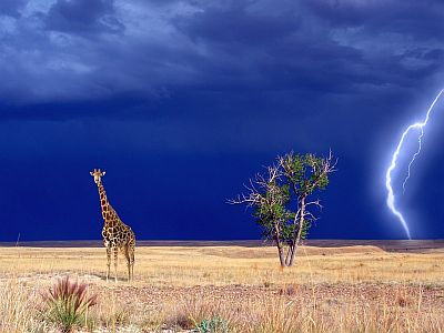 Enya - Storms in Africa II